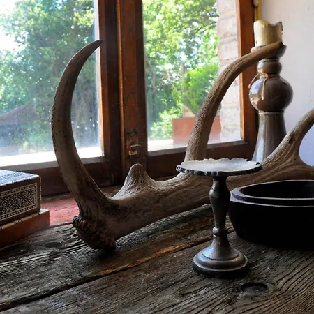 Bed and Breakfast Ferme1883